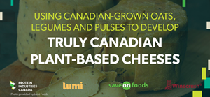 Using Canadian-grown oats, legumes and pulses to develop truly Canadian plant-based cheeses