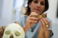 Nesher Ramla - pieces of fossilised bone of a previously unknown kind of early human discovered in Israel