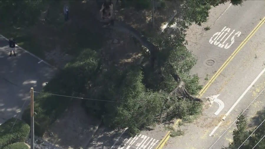 Strong wind gusts causing some damage across Southern California 