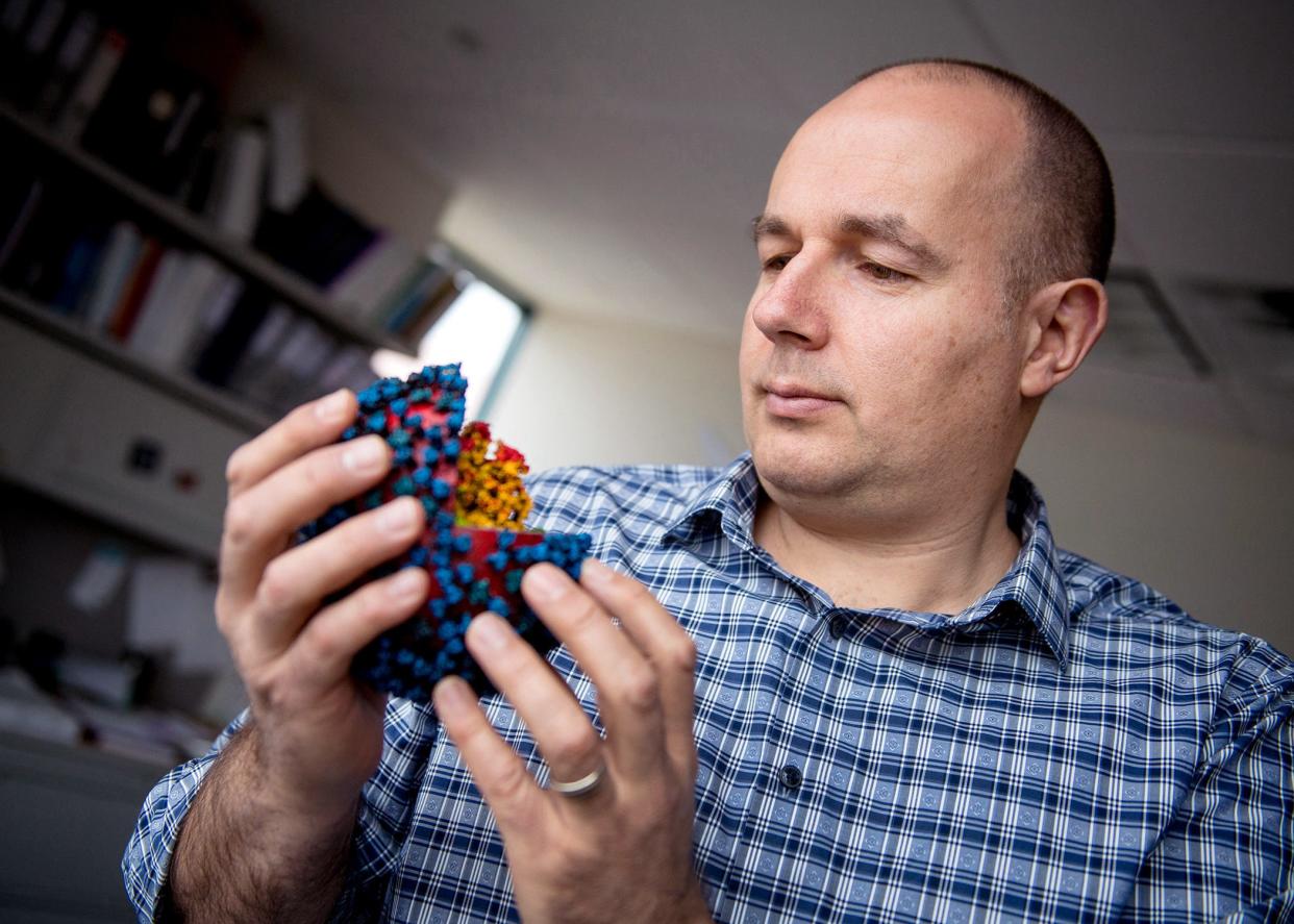 richard webby holding virus model