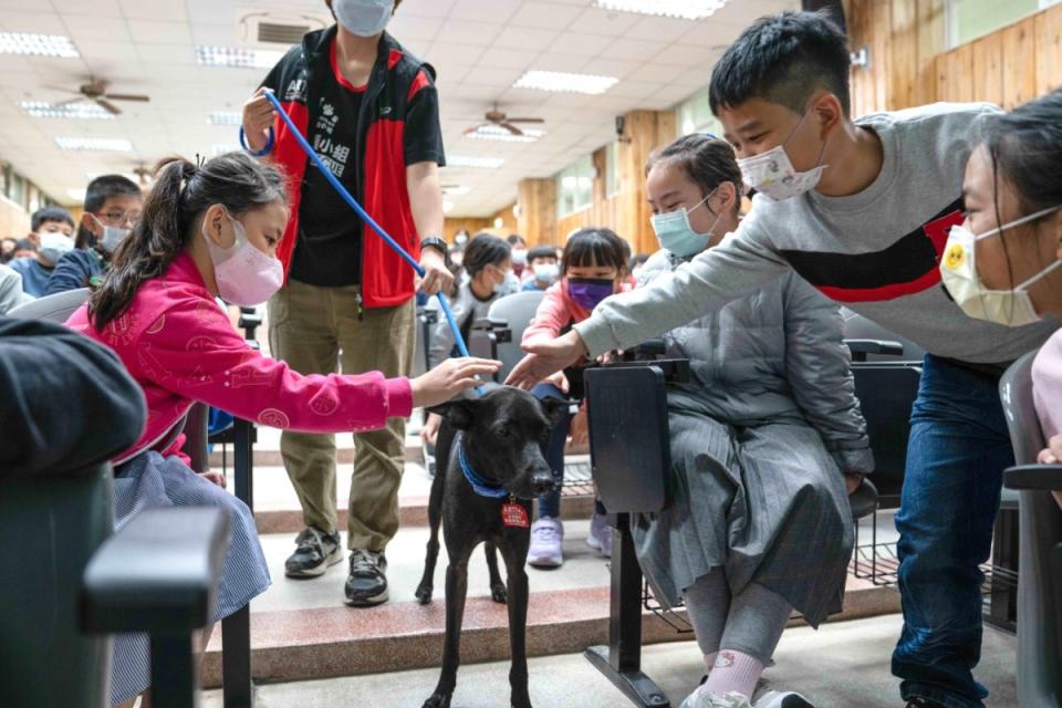 ▲受虐犬阿比現身南寮國小校園，用親身的故事教小學生「飼主教育」：真的不能等。（圖／台灣動物緊急救援小組提供） 