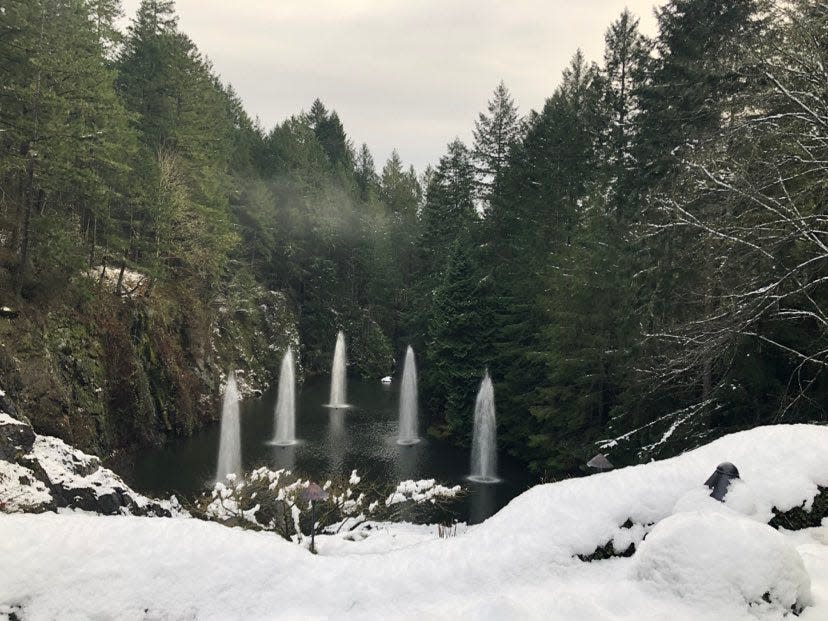 shot of fountains in a body of water in butchart gardens in winter