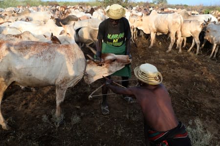 The Wider Image: When raiders menace in northern Kenya, grab your guns