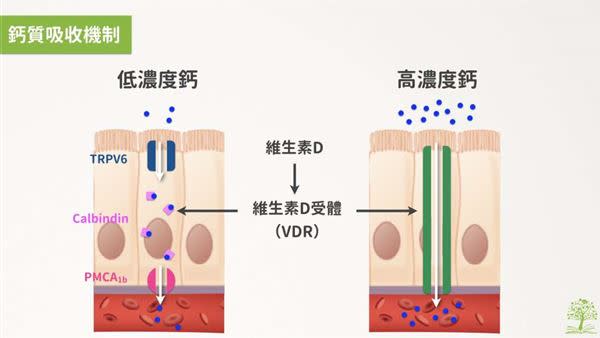 （圖片／林世航營養師提供）