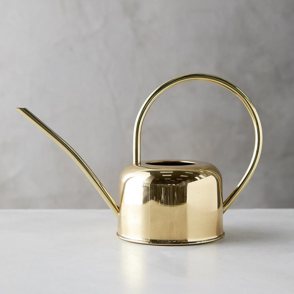 Brass Watering Can