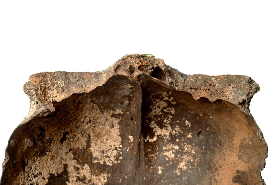 The underside of the fragment of skull (Museum of London)