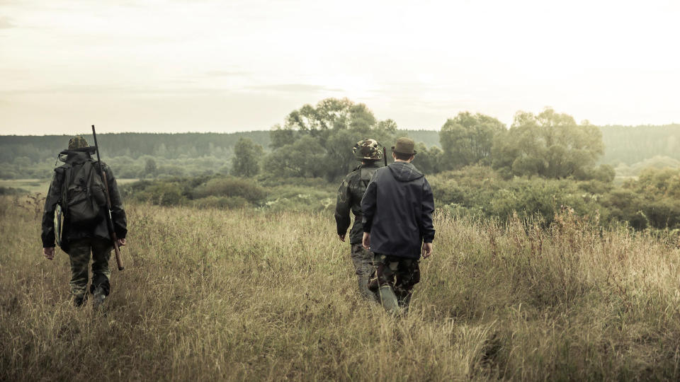 Bird Hunting, Go Away, Hiking, Hunters going on rural field at sunrise during hunting season - , Season