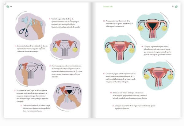 El libro Proyectos de Aula se invita a hacer dos maquetas a los alumnos: la primera es sobre el aparato reproductor femenino, y la segunda es el aparato reproductor masculino. 