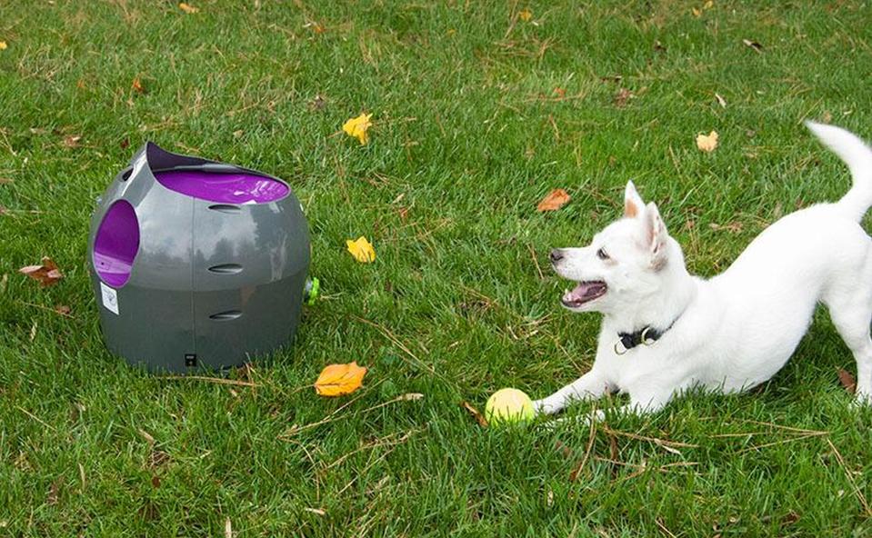 The Pet Safe automatic dog ball launcher is water resistant for backyard playtime or sprints down the hallway. petsafe.net