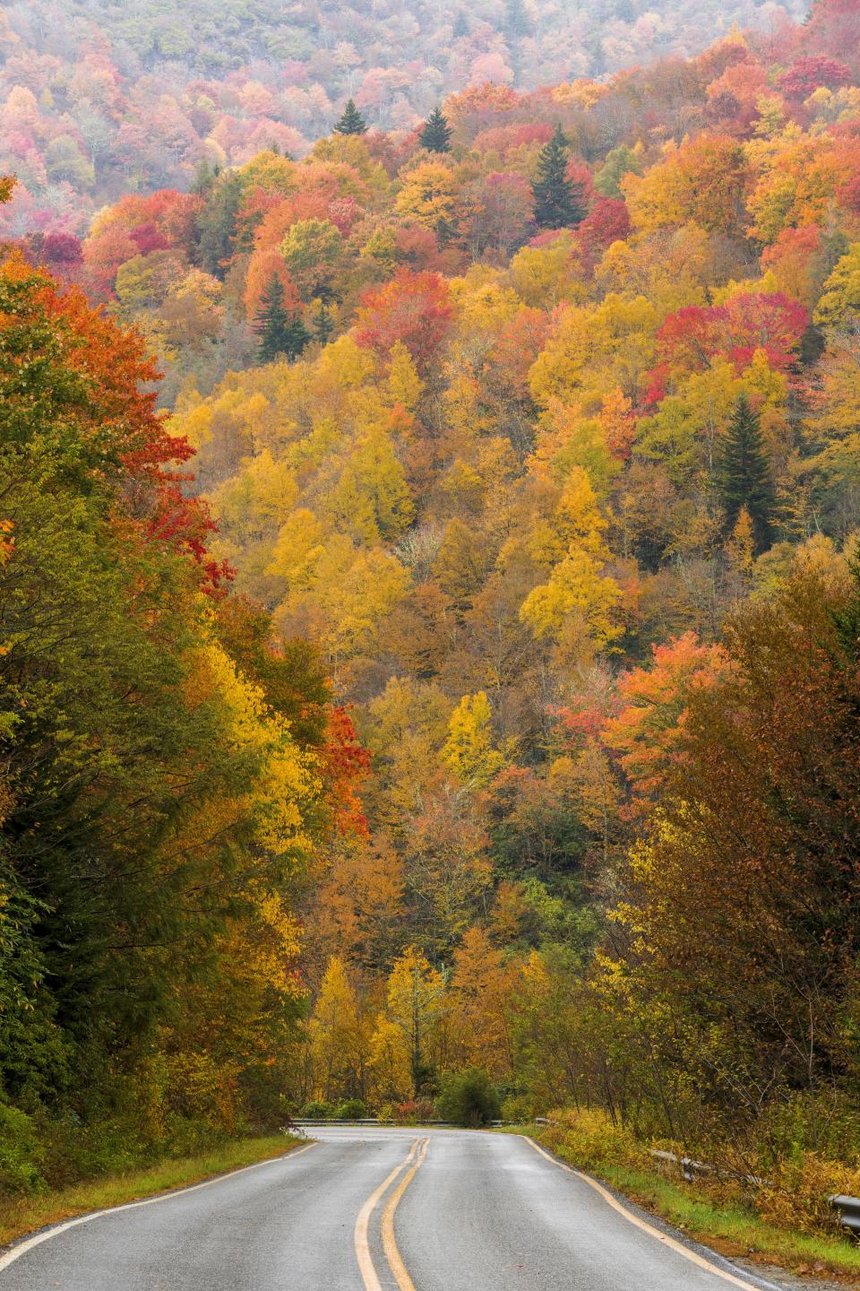 Drive North Carolina's Scenic Byways