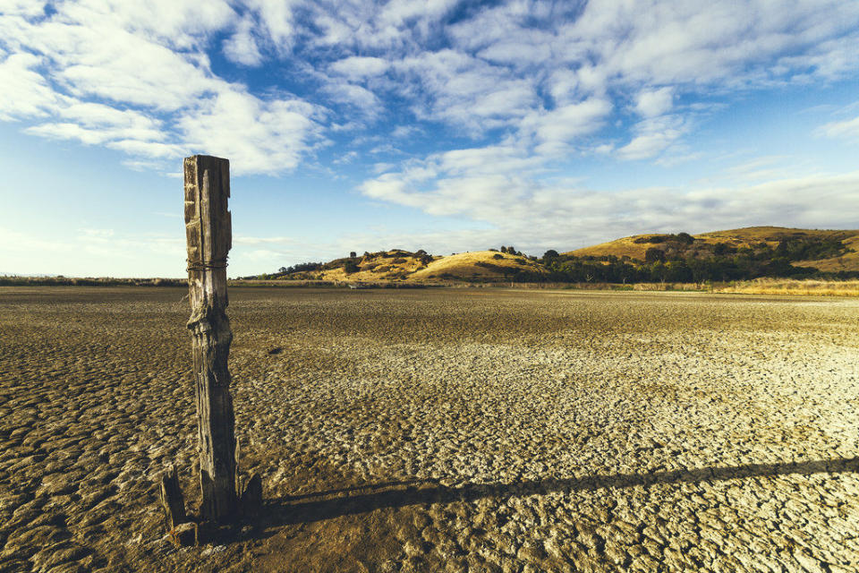 Coyote Hills RP, Fremont, CA July 23, 2014