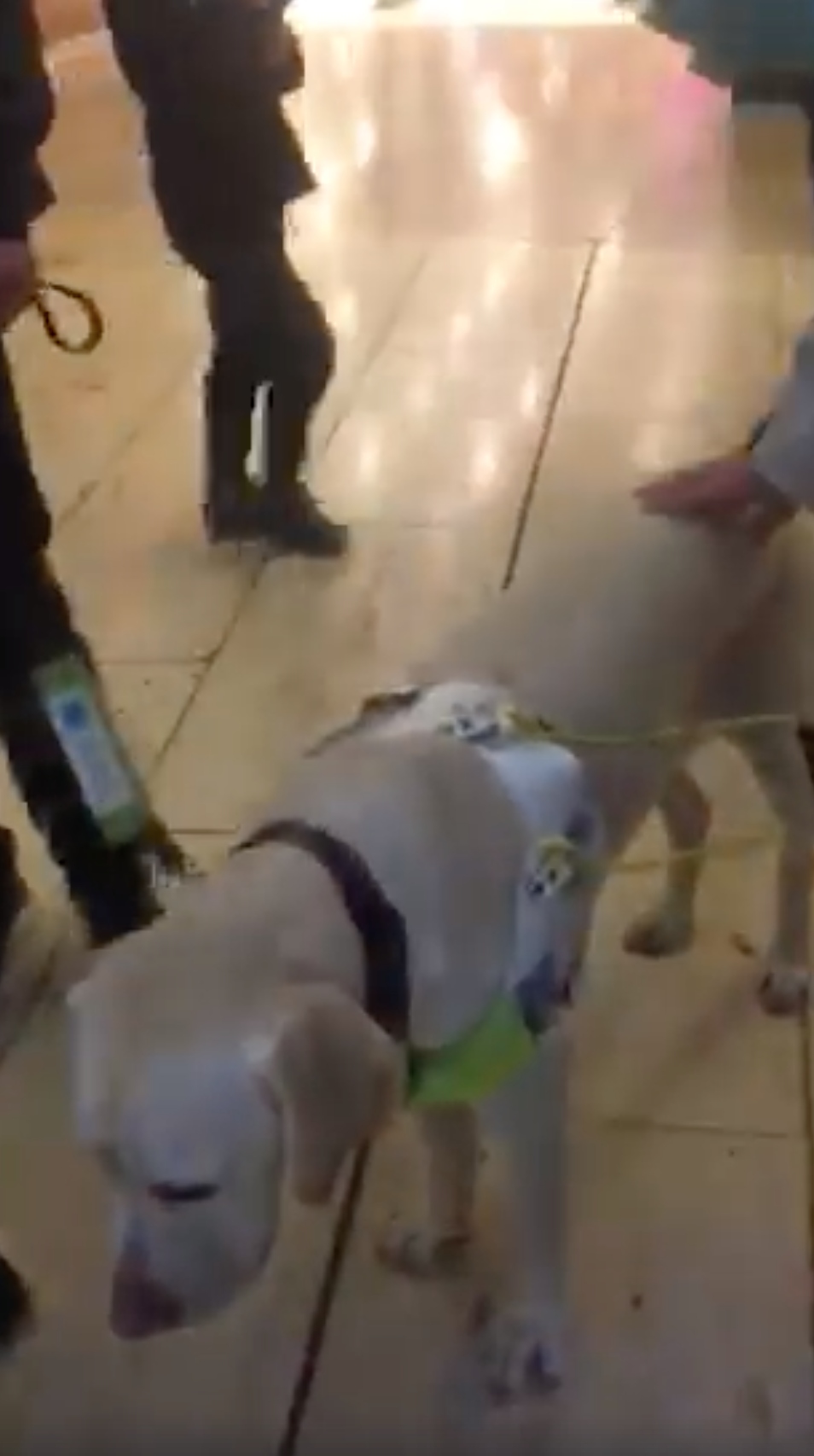 <em>Shoppers stepped in to defend the man, who was with his guide dog (Picture: Facebook/Pauline Letchford)</em>