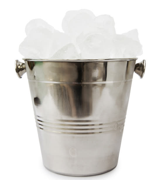 The ice bucket