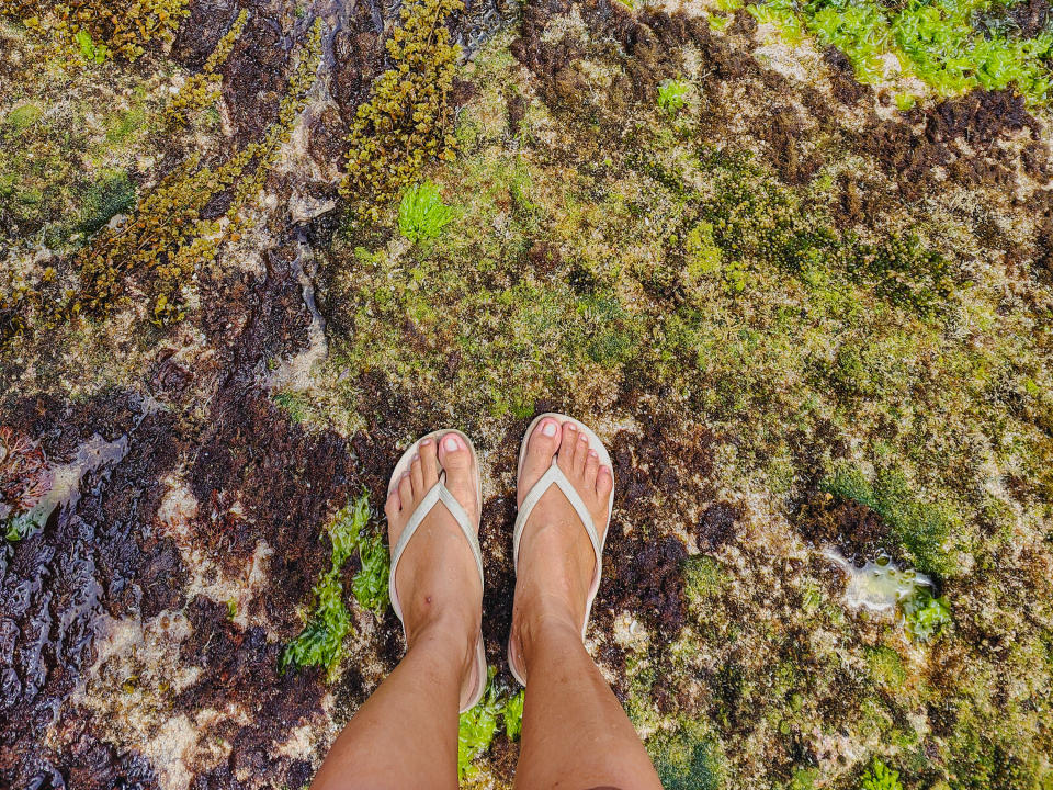 Someone's feet in flip flops