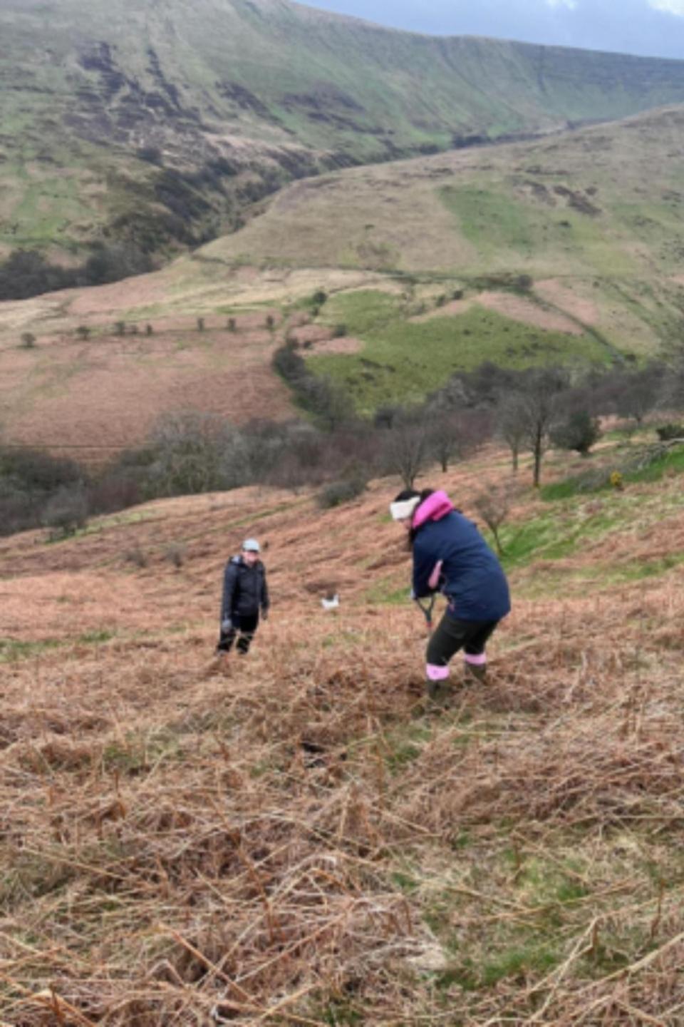 Oxford Mail: Volunteers from Valda Energy went to the Brecon Beacons to plant the trees