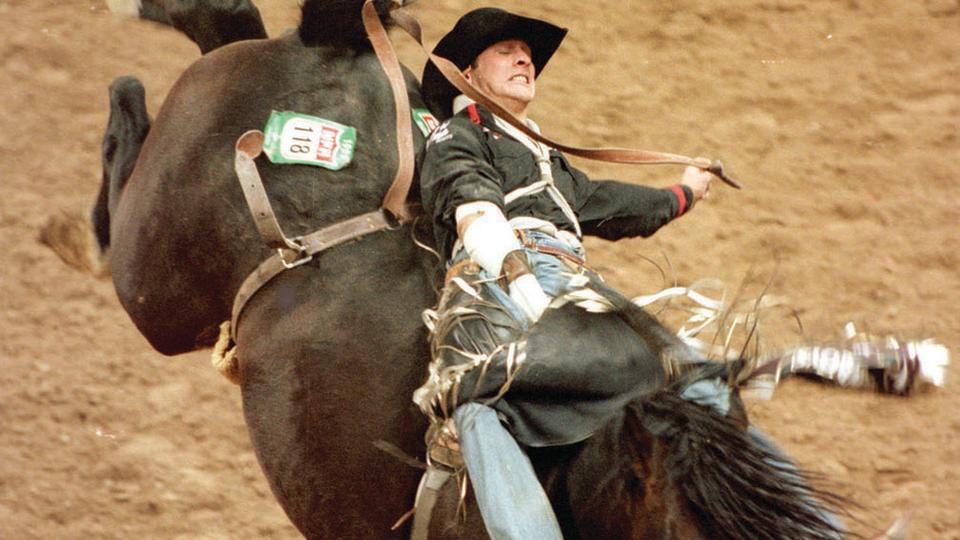 Nur die härtesten Cowboys treten beim Reno Rodeo an