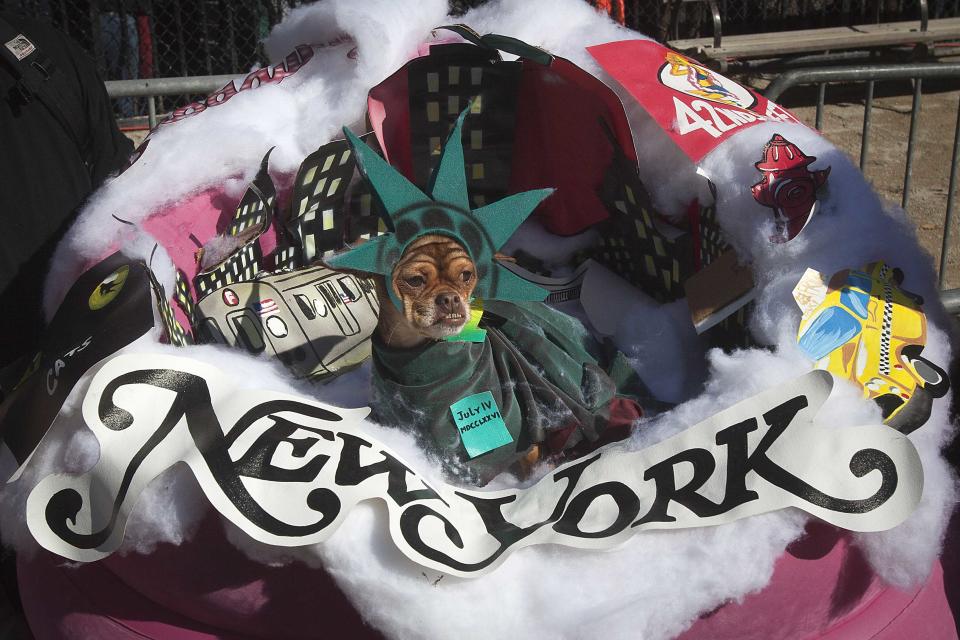 People hold up a dog thats dressed as the Statue of Liberty during the 24th Annual Tompkins Square Halloween Dog Parade in New York