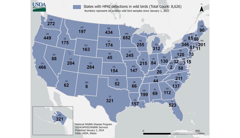 A map shows detections of highly pathogenic avian influenza, or bird flu, in wild birds in the U.S. as of Jan. 2, 2024. Only a small fraction of total cases in wild birds is tested for the disease.