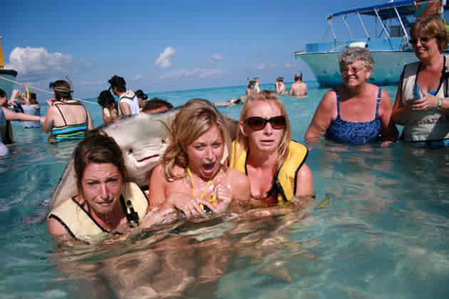 En septiembre pasado, un usuario de la red social Reddit publicó esta foto de esta <b>mantarraya</b> que se 'cruzó' cuando unas mujeres posaban para una foto en Islas Caymán. A medida que se iba volviendo viral, se conoció que fue puesta en esa posición por el asistente del fotógrafo, detrás del animal. La foto fue tomada en 2005. <a href="http://www.reddit.com/r/funny/comments/10hb9g/i_see_your_stingray_photobomb_and_raise_you/" rel="nofollow noopener" target="_blank" data-ylk="slk:Reddit;elm:context_link;itc:0;sec:content-canvas" class="link ">Reddit</a>)