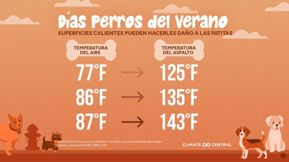 We are offering a Spanish-language version of our graphic about health risk to dogs in the summer in Worcester.