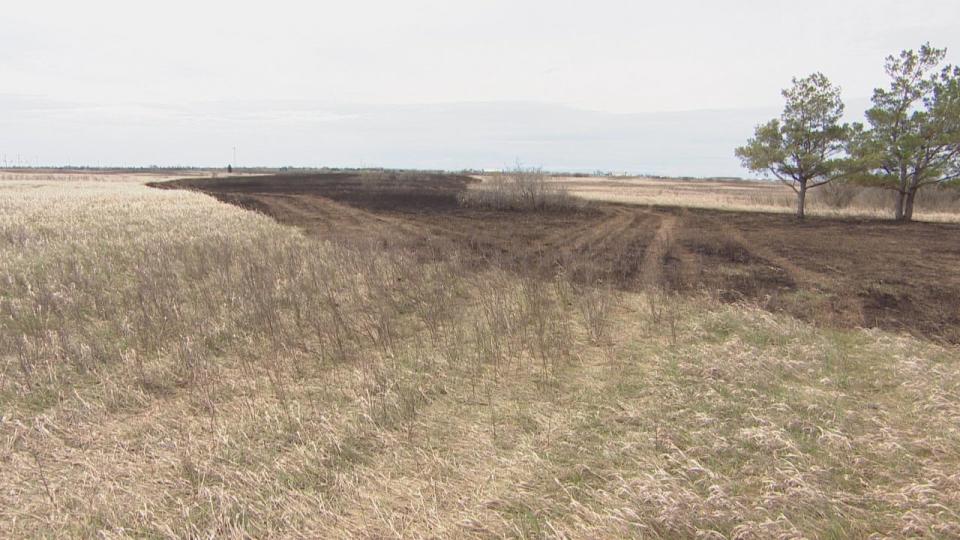 The aftermath of a grassfire on the northeast edge of Saskatoon.