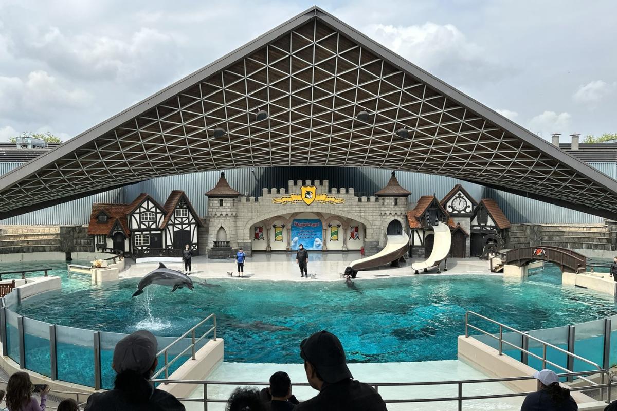 Marineland owner Marie Holer dies, park says ‘succession plan’ in place