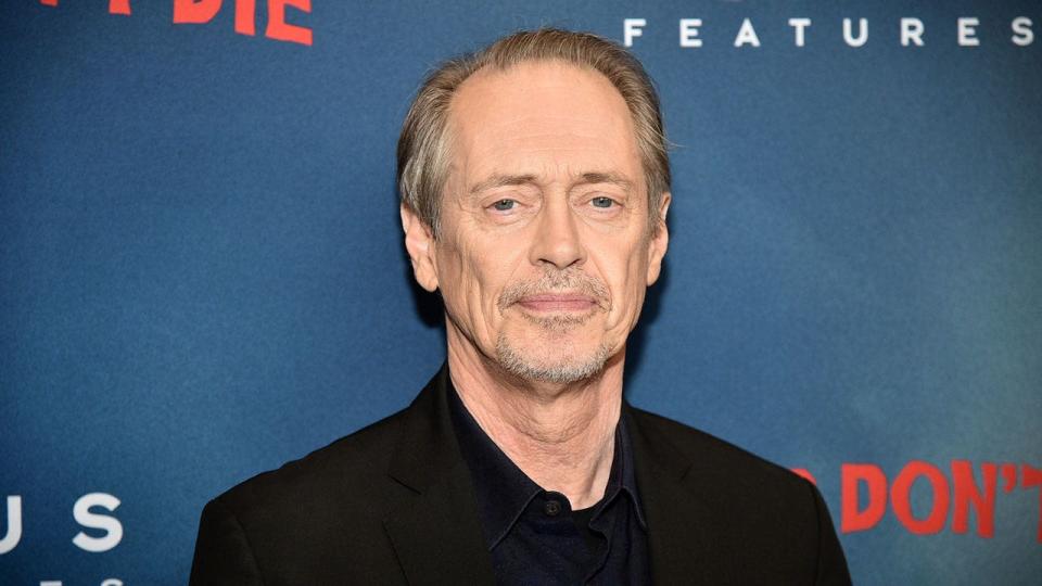Steve Buscemi attends "The Dead Don't Die" New York Premiere at Museum of Modern Art on June 10, 2019 in New York City.