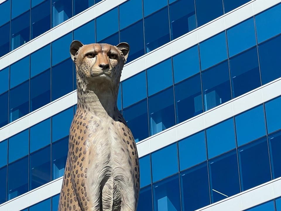 Brown & Brown's headquarters campus in downtown Daytona Beach includes a statue of a cheetah, the world's fastest land mammal, because it symbolizes the attributes the company prides itself as having.
