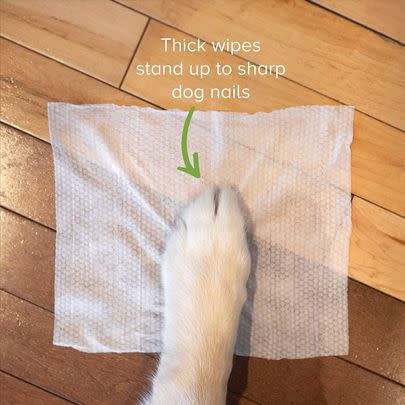 These compostable wipes will prevent your pet from bringing mud into your home.