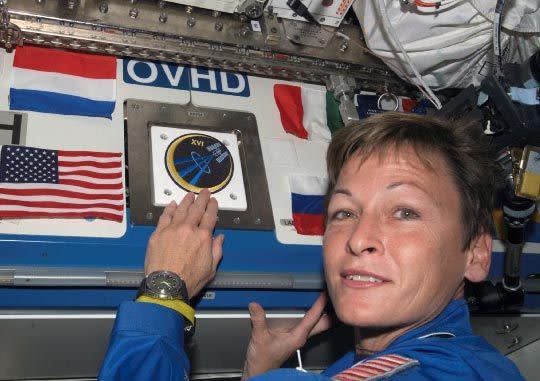 Veteran NASA astronaut Peggy Whitson places her mission patch on the International Space Station during the Expedition 16 mission.