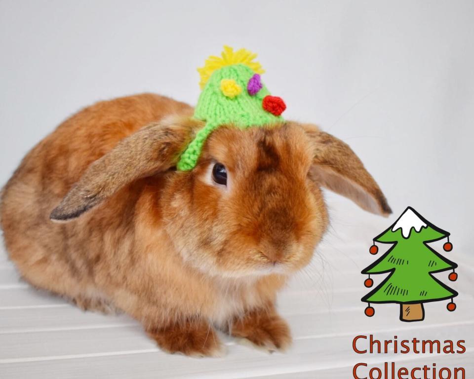 <p>This is a different kind of Christmas tree topper. </p> <p><strong>Buy it!</strong> X-mas Tree Rabbit Hat, $17.55; <a href="https://www.awin1.com/cread.php?awinmid=6220&awinaffid=272513&clickref=PEO15HolidayOutfitsforSmallPetsthatLetReptilesandGuineaPigsJointheFestiveFunkbender1271PetGal13032410202112I&p=https%3A%2F%2Fwww.etsy.com%2Flisting%2F658557161%2Fx-mas-tree-32-rabbit-pet-hat-rabbit" rel="sponsored noopener" target="_blank" data-ylk="slk:Etsy.com" class="link rapid-noclick-resp">Etsy.com</a></p>