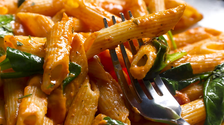 Penne pasta with Vodka sauce