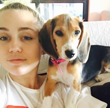 Miley Cyrus’ new ring on her ring finger is SO sparkly and gorgeous