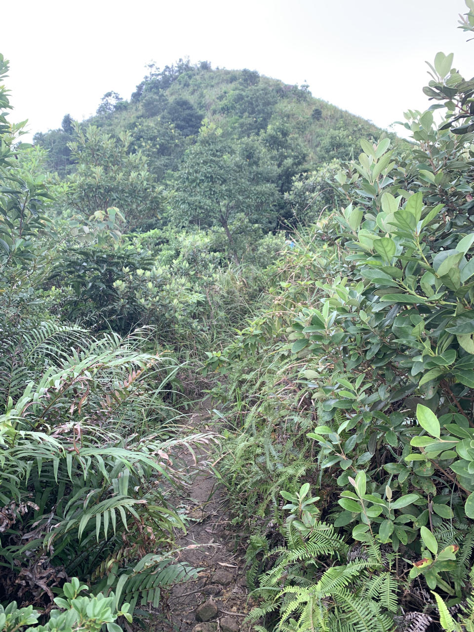 往象山路況