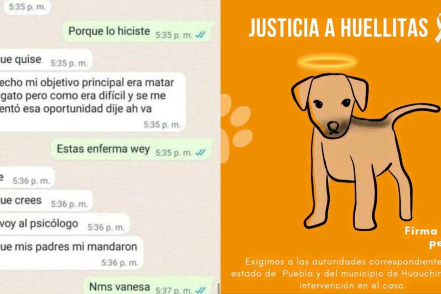 Alumna que mató a cachorrito "Huellitas" está recibiendo atención psicológica: SEP