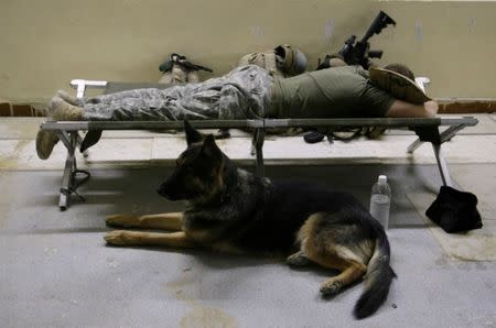 FILE PHOTO: A U.S. soldier from the Second Stryker Cavalry Regiment tries to sleep next to a dog at the Diyala media center in Diyala province August 6, 2008. REUTERS/Andrea Comas/File Photo