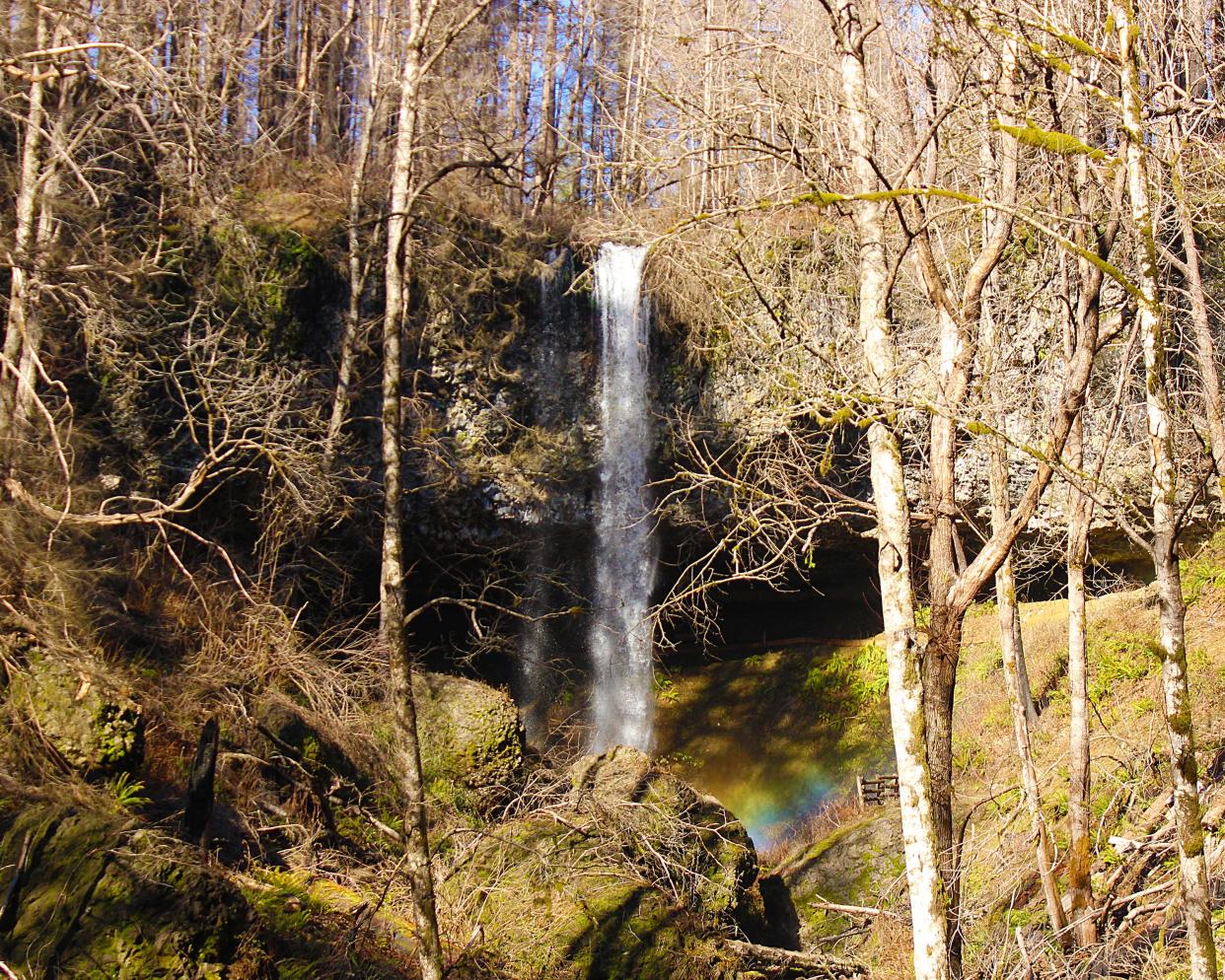 Shellburg Falls was burned in the 2020 Beachie Creek Fire. It is set to reopen on May 17.
