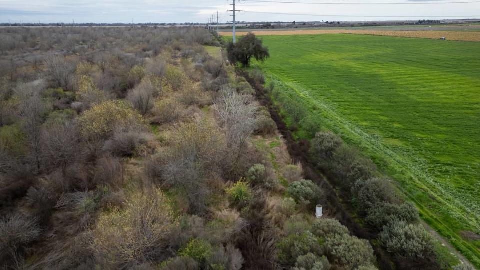 El proyecto de restauración de la llanura aluvial de Hidden Valley se encuentra junto a una sección restaurada del rancho Dos Ríos, a la izquierda, al oeste de Modesto, California. Imagen del jueves 29 de febrero de 2024.