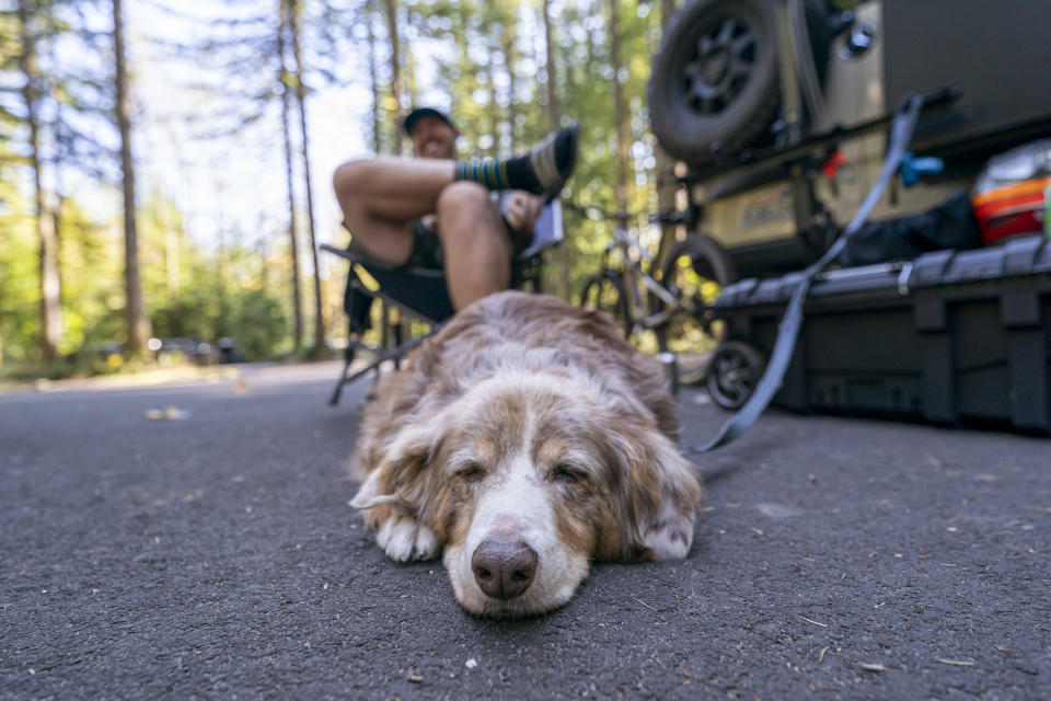 dog leashed to an RV while camping