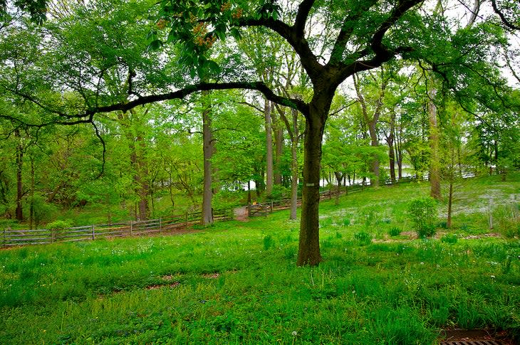 Bartram's Garden, landmark garden, oldest living botanic garden in America