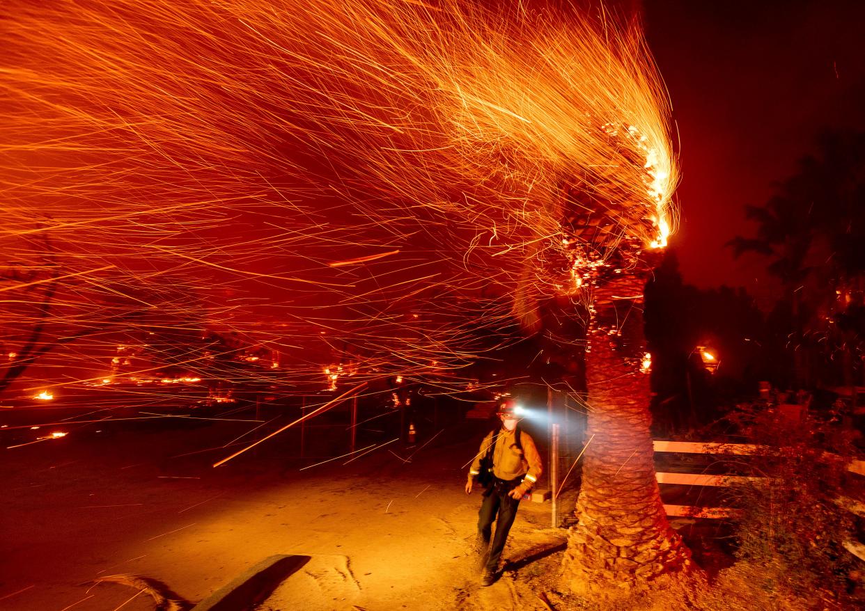 A firefighter passes a burning tree while battling the Bond Fire in Orange County, California last month. More fires have erupted and red flag warnings are in place during what is typically the state’s rainy season (AP)