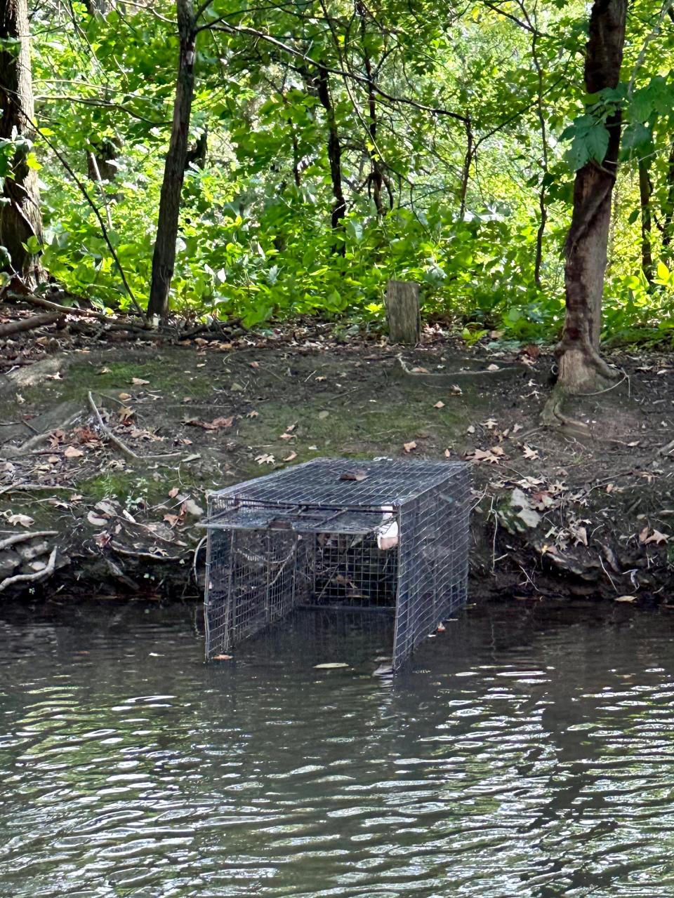 The New Jersey Department of Environmental Protection, Division of Fish & Wildlife deployed traps at Lake Creighton.