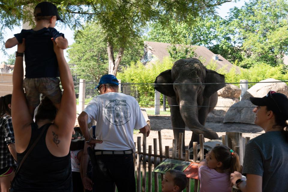 Topeka Zoo guests gather around the elephant exhibit as Tembo, the zoo's African elephant, walks Thursday morning around the yard.