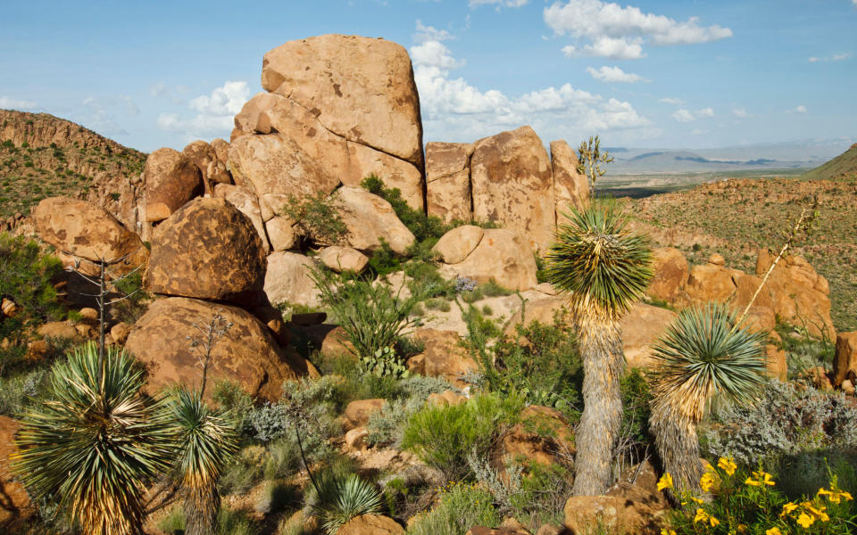 <p>With America’s National Park Service turning 100 on August 25, its centennial has spawned <a rel="nofollow noopener" href="http://www.travelandleisure.com/articles/national-parks-free-days-2016" target="_blank" data-ylk="slk:celebrations;elm:context_link;itc:0;sec:content-canvas" class="link ">celebrations</a> around the country—and newfound interest in the country’s great parklands. <a rel="nofollow noopener" href="https://www.nps.gov/bibe/index.htm" target="_blank" data-ylk="slk:Big Bend;elm:context_link;itc:0;sec:content-canvas" class="link ">Big Bend</a>, in Texas, earned International Dark Sky Park status for its pristine, clear skies void of light pollution (in fact, it has the least amount of pollution compared to any other national park in the lower 48 states). Here, viewers can see the distinct streak of the Milky Way. The famous Perseid meteor shower, considered the best meteor display of the year, peaks in August—and there might be no better place to watch it than from the isolated reaches of far west Texas. If you go, be sure to bring your stargazing <a rel="nofollow noopener" href="http://www.travelandleisure.com/articles/stargazing-gear-equipment" target="_blank" data-ylk="slk:essentials;elm:context_link;itc:0;sec:content-canvas" class="link ">essentials</a>.</p>