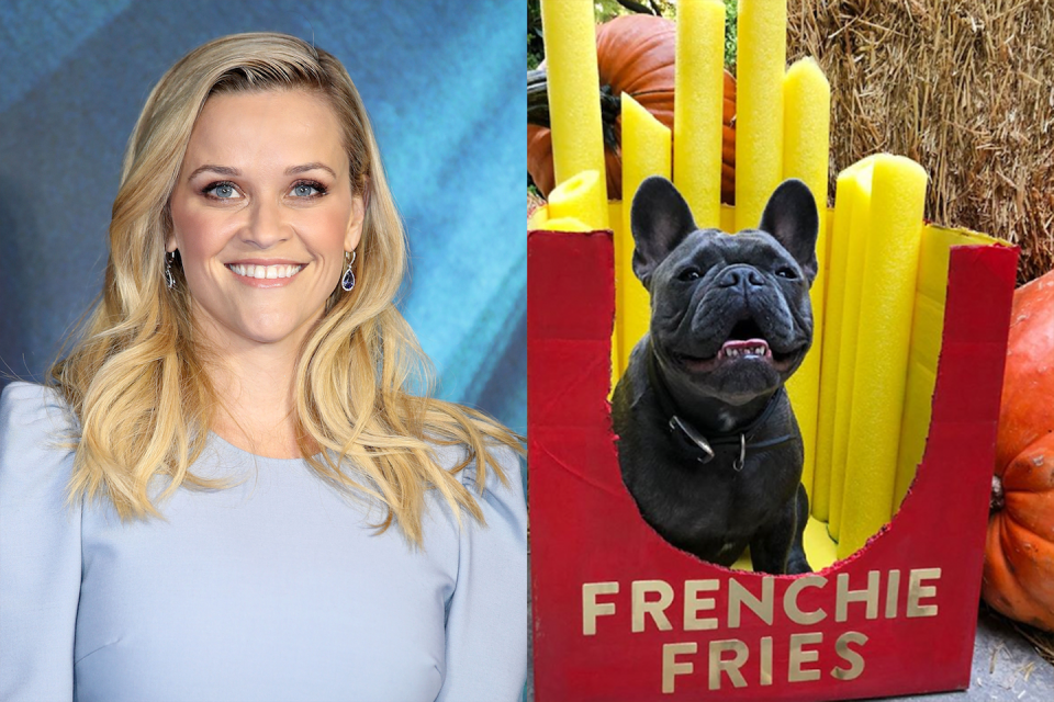 Reese Witherspoon's Dog, Frenchie