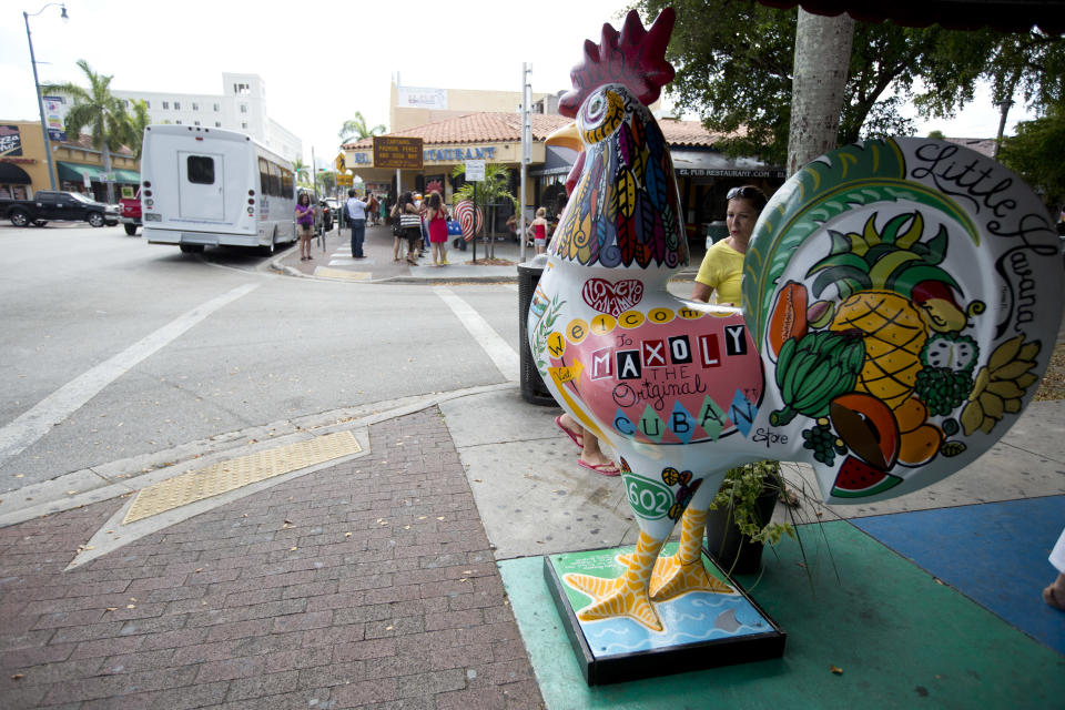 This May 1, 2014 photo shows a tourist inspecting one of the painted rooster art installations along Calle Ocho (Eighth Street) in Miami's Little Havana. Once a refuge for Cuban exiles rekindling the tastes and sounds a lost home, today Miami’s Little Havana is a mosaic of cultures and a popular tourist destination. (AP Photo/J Pat Carter)