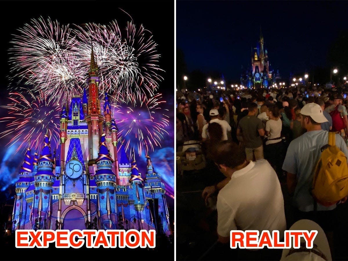 Expectation vs reality of Disney Magic Kingdom
