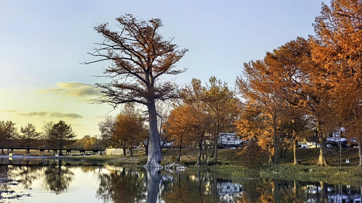 Fall season on the Guadalupe river in Kerrville, Texas.