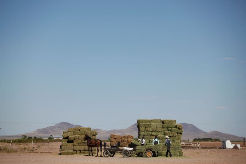 The Wider Image: In Mexico, a decade of images shows Mennonites' traditions frozen in time