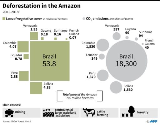 Loss of forest cover and Co2 emissions in countries that share the Amazon river basin between 2001 and 2018